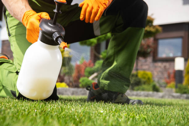 Best Affordable Pest Control Services  in Ahwahnee, CA