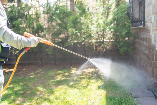 Best Exterminator Services  in Ahwahnee, CA